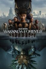 Nonton Film Black Panther: Wakanda Forever (2022) CINEKEREN