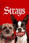 Nonton Film Strays (2023) CINEKEREN Nonton Film Strays (2023) CINEKEREN