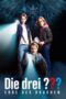 Nonton Film Die Drei Erbe Des Drachen (2023) CINEKEREN
