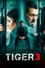 Nonton Film Tiger 3 (2023) CINEKEREN
