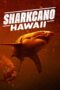 Nonton Film Sharkcano: Hawaii (2023) CINEKEREN