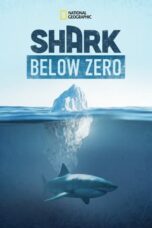 Nonton Film Shark Below Zero (2023) CINEKEREN