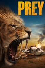 Nonton Film Prey (2024) CINEKEREN