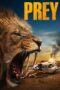 Nonton Film Prey (2024) CINEKEREN Nonton Film Prey (2024) CINEKEREN