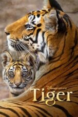 Nonton Film Tiger (2024) CINEKEREN
