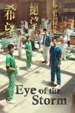 Nonton Film Eye of the Storm (2023) CINEKEREN