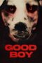 Nonton Film Good Boy (2022) CINEKEREN Nonton Film Good Boy (2022) CINEKEREN