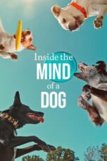 Nonton Film Inside the Mind of a Dog (2024) CINEKEREN