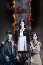 Nonton Film Perfect Family (2024) CINEKEREN