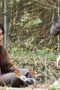 Nonton Film ACMA:GAME Season 1 Episode 8 CINEKEREN Nonton Film ACMA:GAME Season 1 Episode 8 CINEKEREN