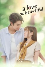 Nonton Film A Love So Beautiful (2024) CINEKEREN