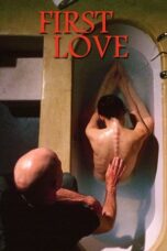 Nonton Film First Love (2004) CINEKEREN