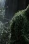 Nonton Film Swamp Thing Season 1 Episode 10 CINEKEREN Nonton Film Swamp Thing Season 1 Episode 10 CINEKEREN