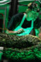 Nonton Film Swamp Thing Season 1 Episode 9 CINEKEREN Nonton Film Swamp Thing Season 1 Episode 9 CINEKEREN