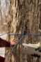 Nonton Film The Sticky Season 1 Episode 1 CINEKEREN Nonton Film The Sticky Season 1 Episode 1 CINEKEREN