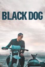 Nonton Film Black Dog (2024) CINEKEREN