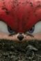 Nonton Film Knuckles Season 1 Episode 1 CINEKEREN