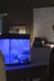 Nonton Film Siren Season 1 Episode 7 CINEKEREN Nonton Film Siren Season 1 Episode 7 CINEKEREN