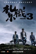 Nonton Film Triad 3 (2024) CINEKEREN