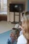 Nonton Film Who Is She Season 1 Episode 8 CINEKEREN Nonton Film Who Is She Season 1 Episode 8 CINEKEREN