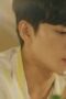 Nonton Film Love Is Like A Cat Season 1 Episode 12 CINEKEREN