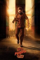 Nonton Film Pushpa 2 – The Rule (2024) CINEKEREN