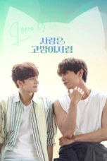Nonton Film Love Is Like A Cat (2024) CINEKEREN