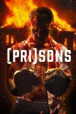 Nonton Film Carnage (2024) CINEKEREN