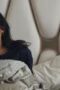 Nonton Film The Recruit Season 2 Episode 3 CINEKEREN Nonton Film The Recruit Season 2 Episode 3 CINEKEREN
