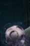 Nonton Film Jupiter’s Legacy Season 1 Episode 5 CINEKEREN Nonton Film Jupiter’s Legacy Season 1 Episode 5 CINEKEREN