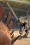 Nonton Film Jurassic World Camp Cretaceous Season 4 Episode 7 CINEKEREN Nonton Film Jurassic World Camp Cretaceous Season 4 Episode 7 CINEKEREN