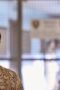 Nonton Film The Flight Attendant Season 1 Episode 5 CINEKEREN Nonton Film The Flight Attendant Season 1 Episode 5 CINEKEREN