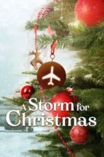 Nonton Film A Storm for Christmas (2022) CINEKEREN