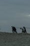 Nonton Film The Terror Season 1 Episode 10 CINEKEREN Nonton Film The Terror Season 1 Episode 10 CINEKEREN