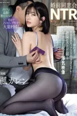 Nonton Film IPZZ-308 Tunanganku Tercinta Selingkuh dengan Mantan Pacarku – Karen Kaede CINEKEREN
