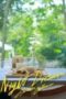 Nonton Film Night Dream Season 1 Episode 1 CINEKEREN Nonton Film Night Dream Season 1 Episode 1 CINEKEREN