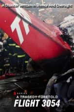 Nonton Film A Tragedy Foretold: Flight 3054 (2025) CINEKEREN