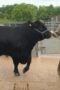Nonton Film Clarkson’s Farm Season 4 Episode 5 CINEKEREN Nonton Film Clarkson’s Farm Season 4 Episode 5 CINEKEREN